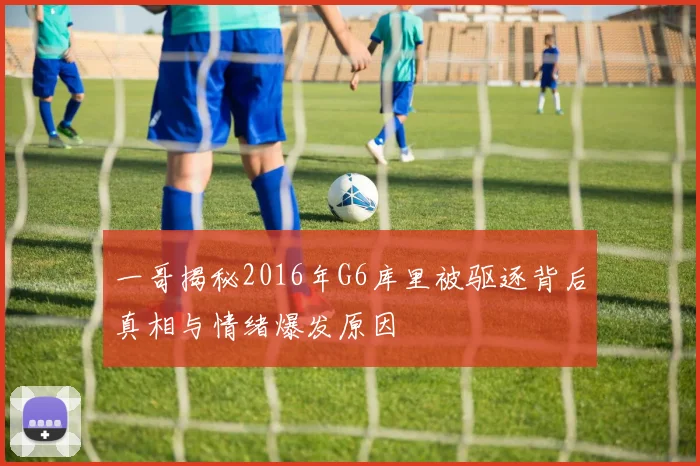 一哥揭秘2016年G6库里被驱逐背后真相与情绪爆发原因